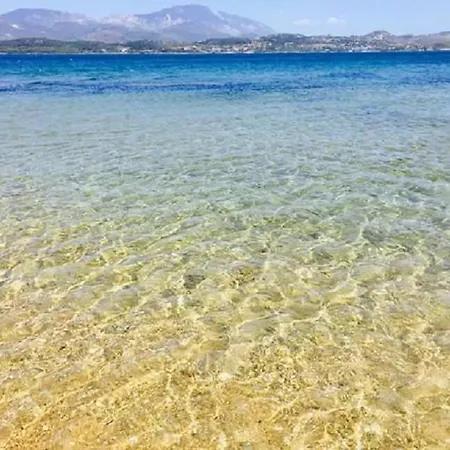 Diwani Luxury Διαμέρισμα